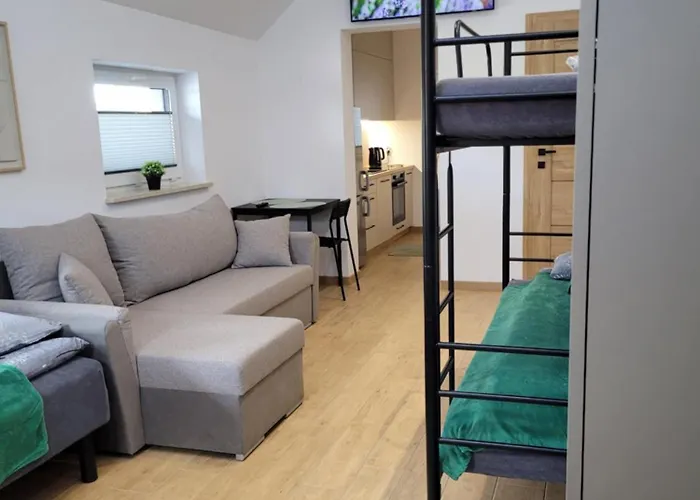 Central Hostel Хостел Maszewo Duze